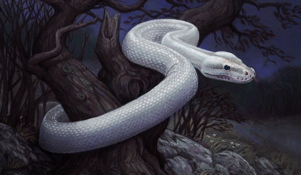 снится белая змея