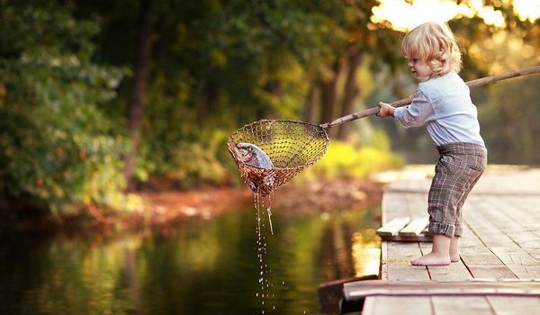 Ловить рыбу сачком